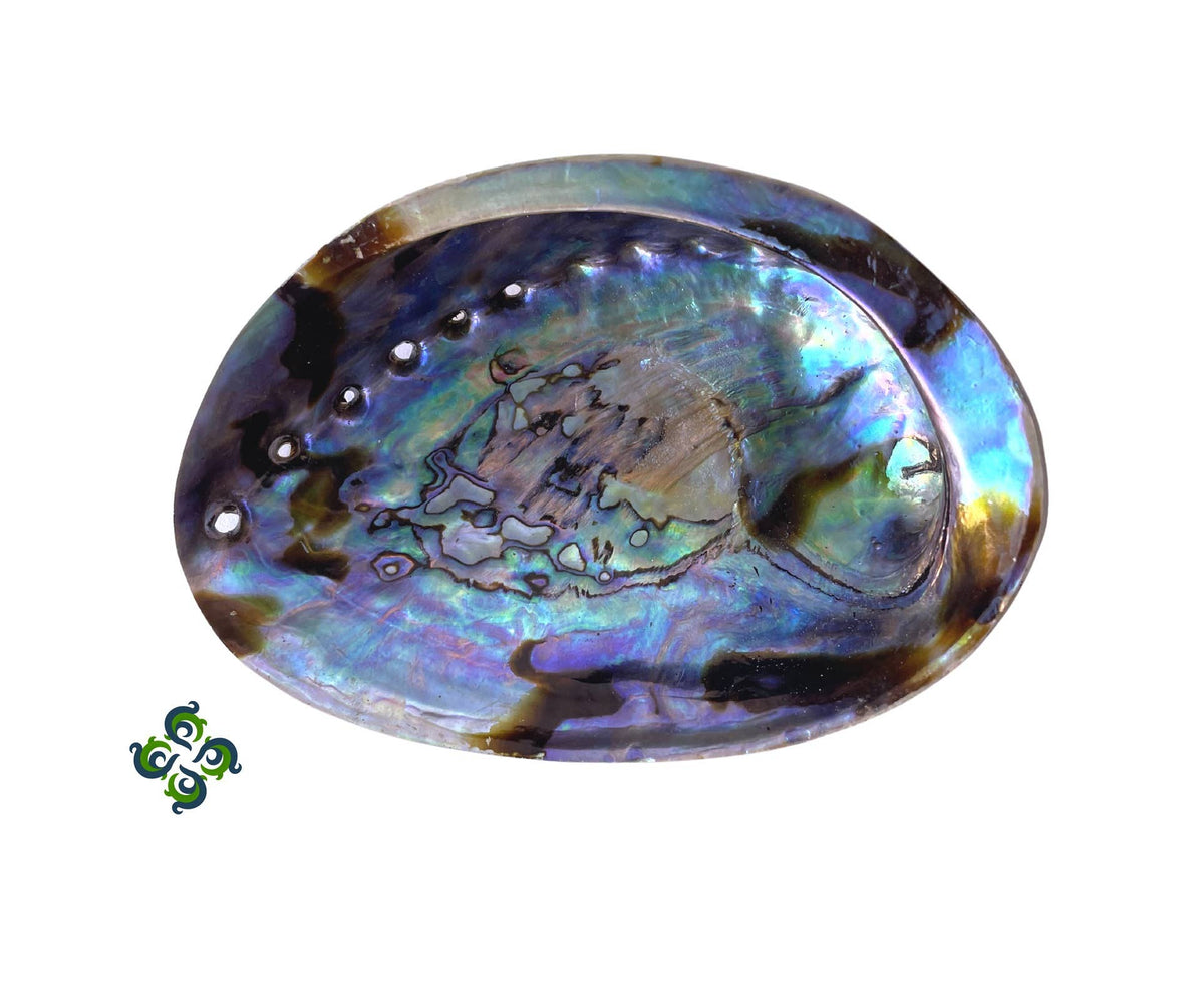 Abalone Shells Incense Burner